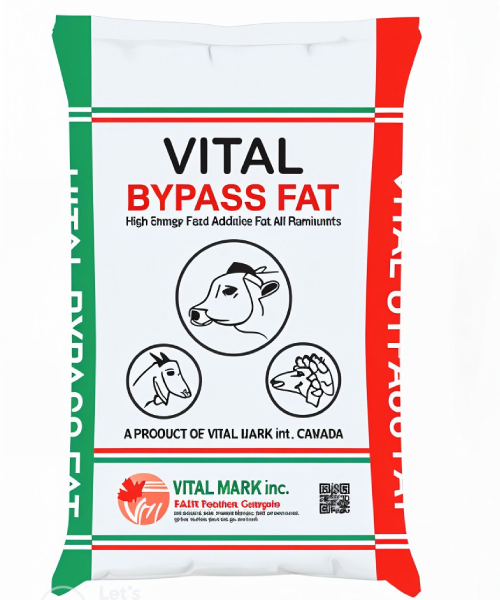 vital bypass fat