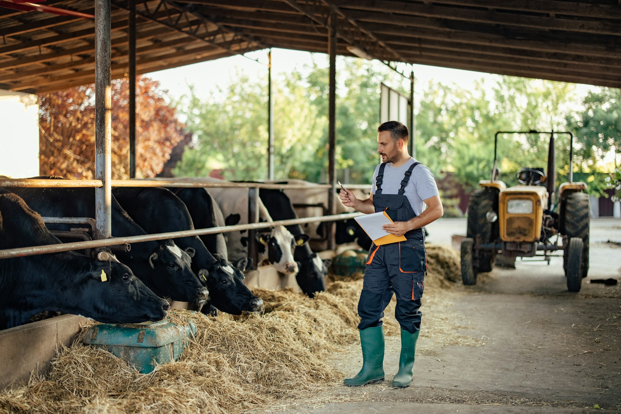 Unlocking Peak Performance in Ruminants: The Science Behind High-Energy Feed Additives