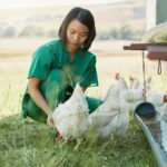 The Future of Animal Health: Trends and Innovations to Watch