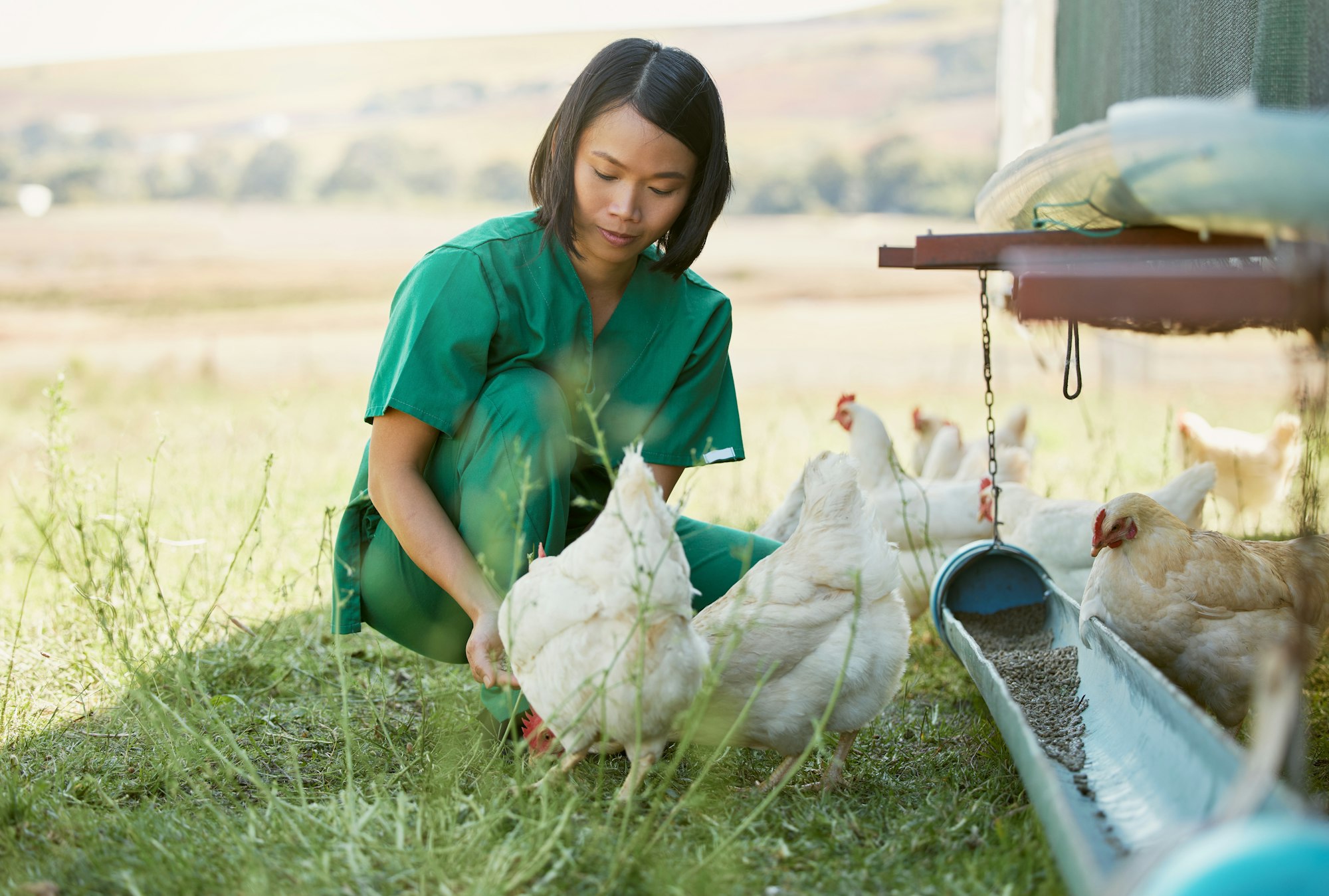 The Future of Animal Health: Trends and Innovations to Watch